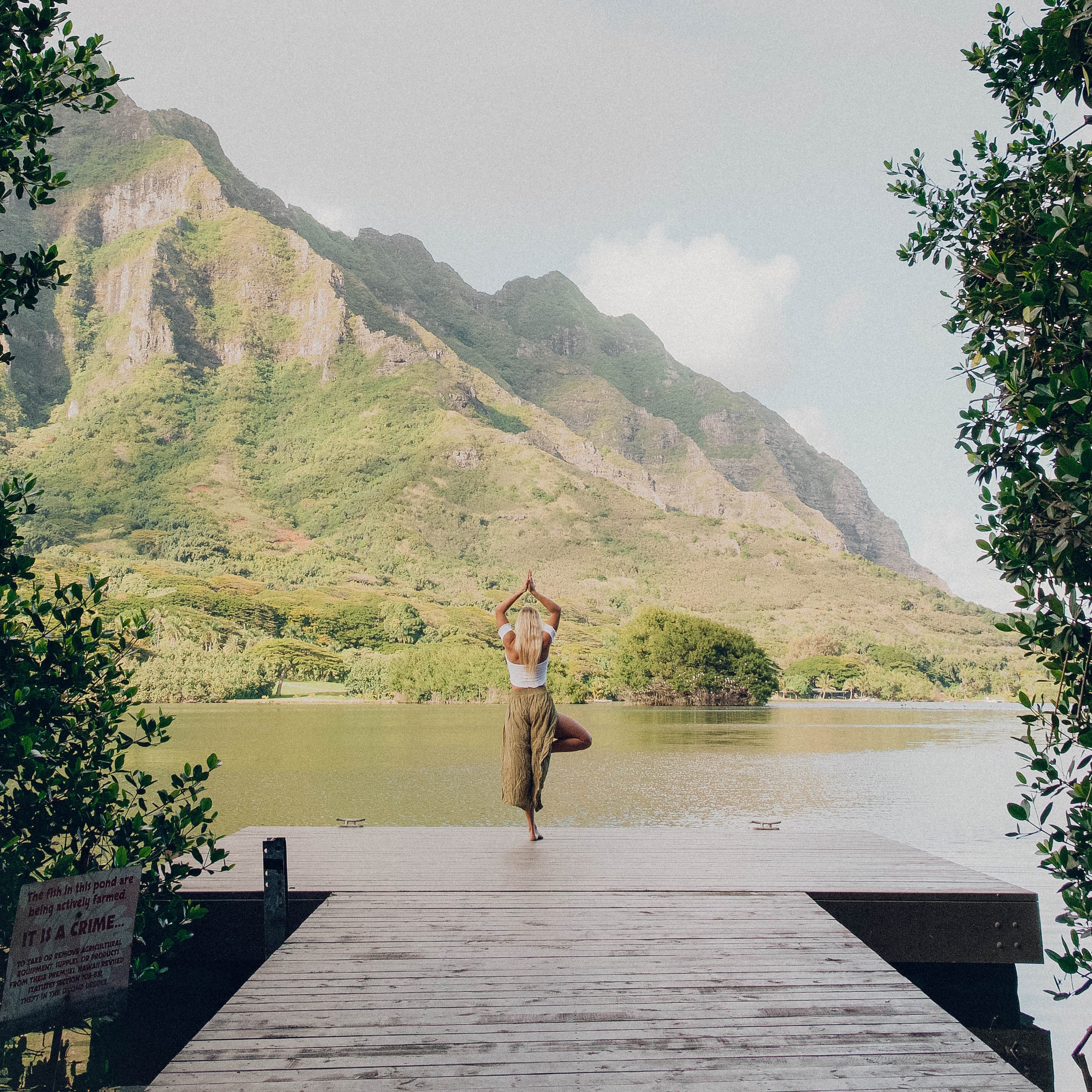 Инвентарь для занятий спортом на свежем воздухе