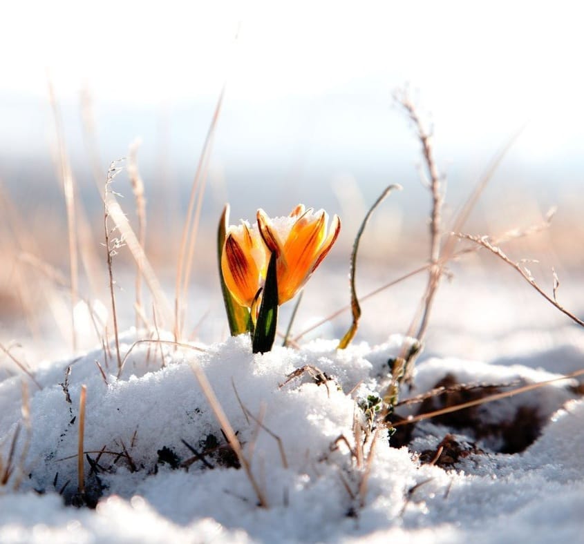 С первым днем весны!