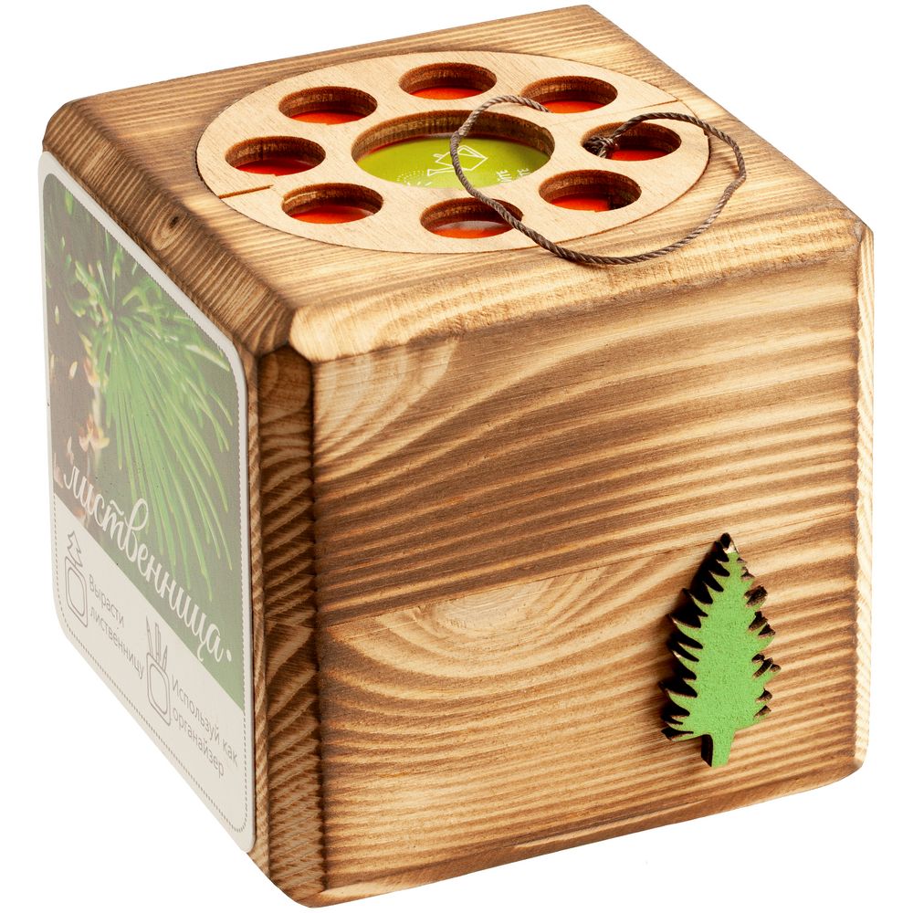 Набор для выращивания с органайзером «Экокуб Burn», лиственница (Изображение 2)