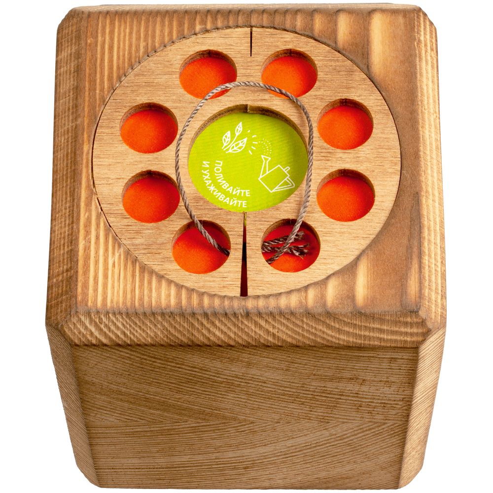 Набор для выращивания с органайзером «Экокуб Burn», лиственница (Изображение 3)