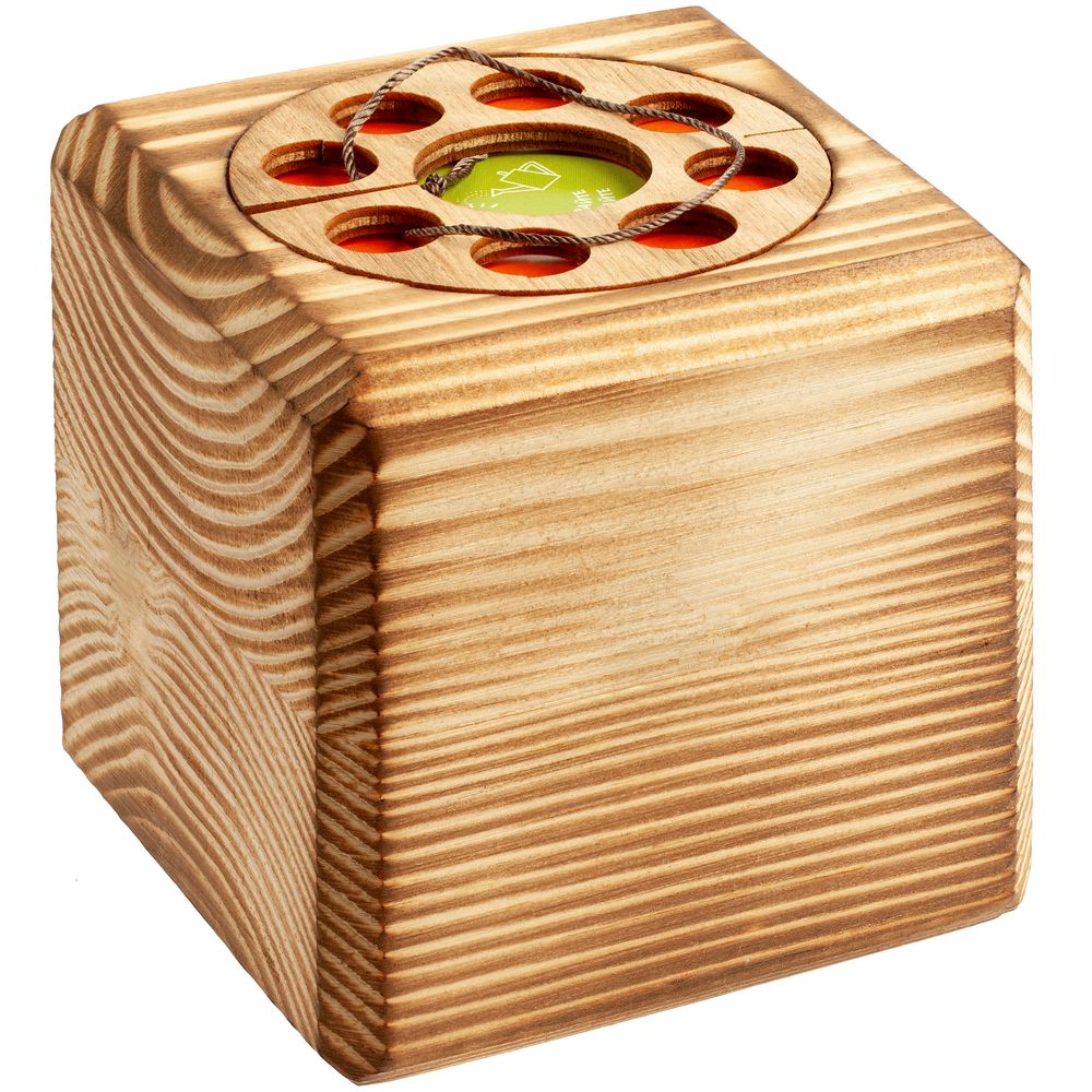 Набор для выращивания с органайзером «Экокуб Burn», лиственница (Изображение 4)