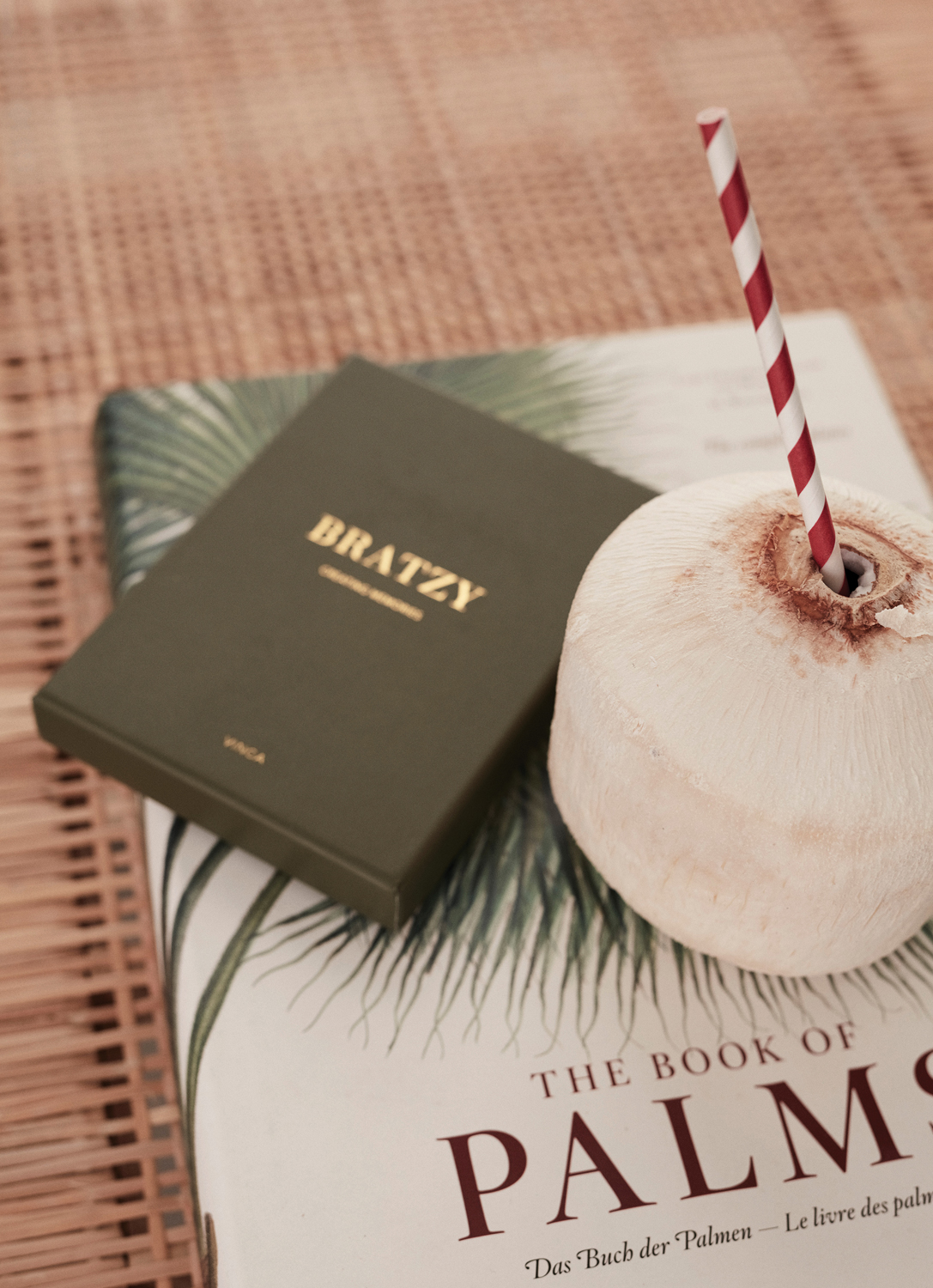 Настольная игра VINGA Bratzy (Изображение 10)