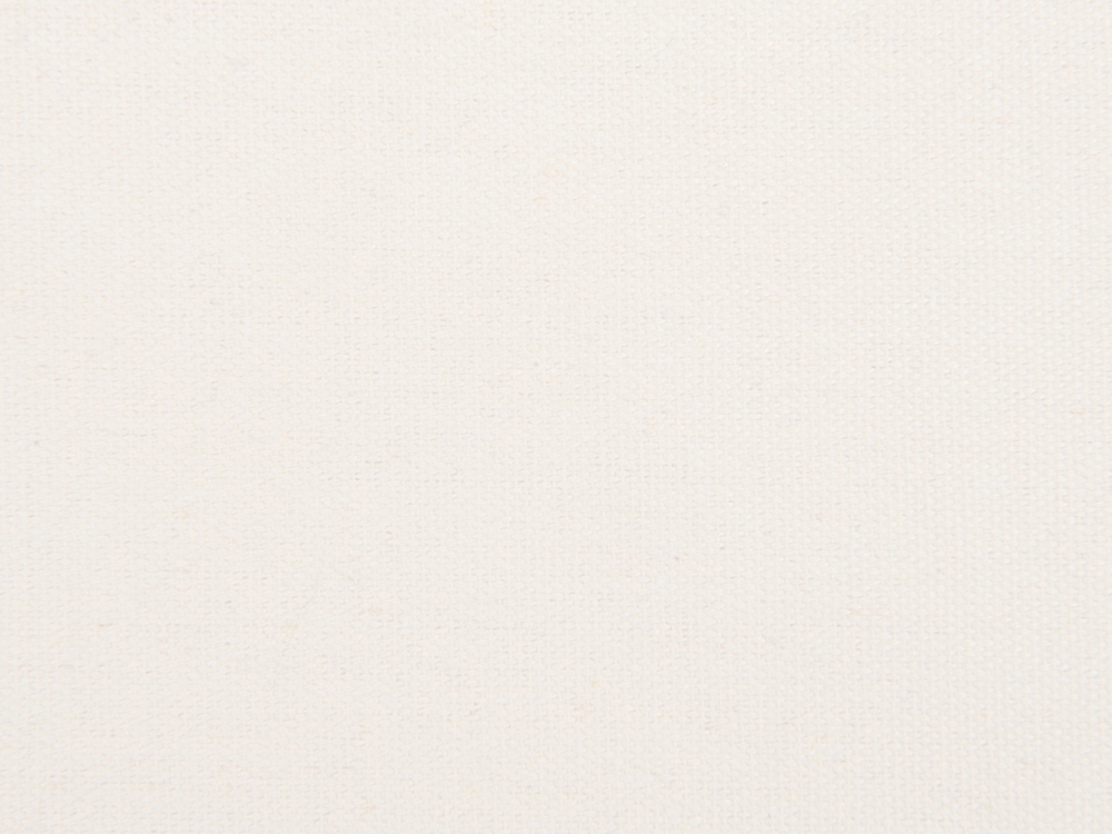 Сумка для шопинга Steady хлопковая с парусиновыми ручками, 260 г/м2 (белый)  (Изображение 6)