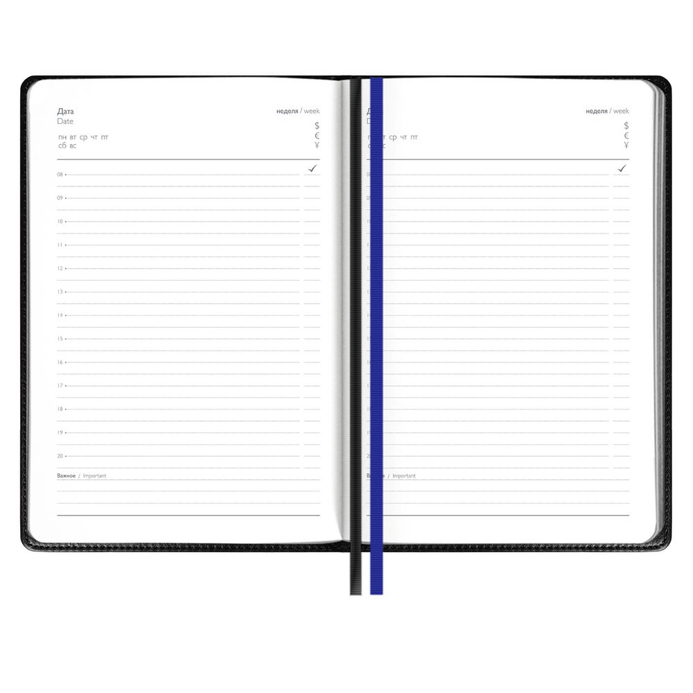 Ежедневник Alanis, недатированный, черный c синим (Изображение 3)