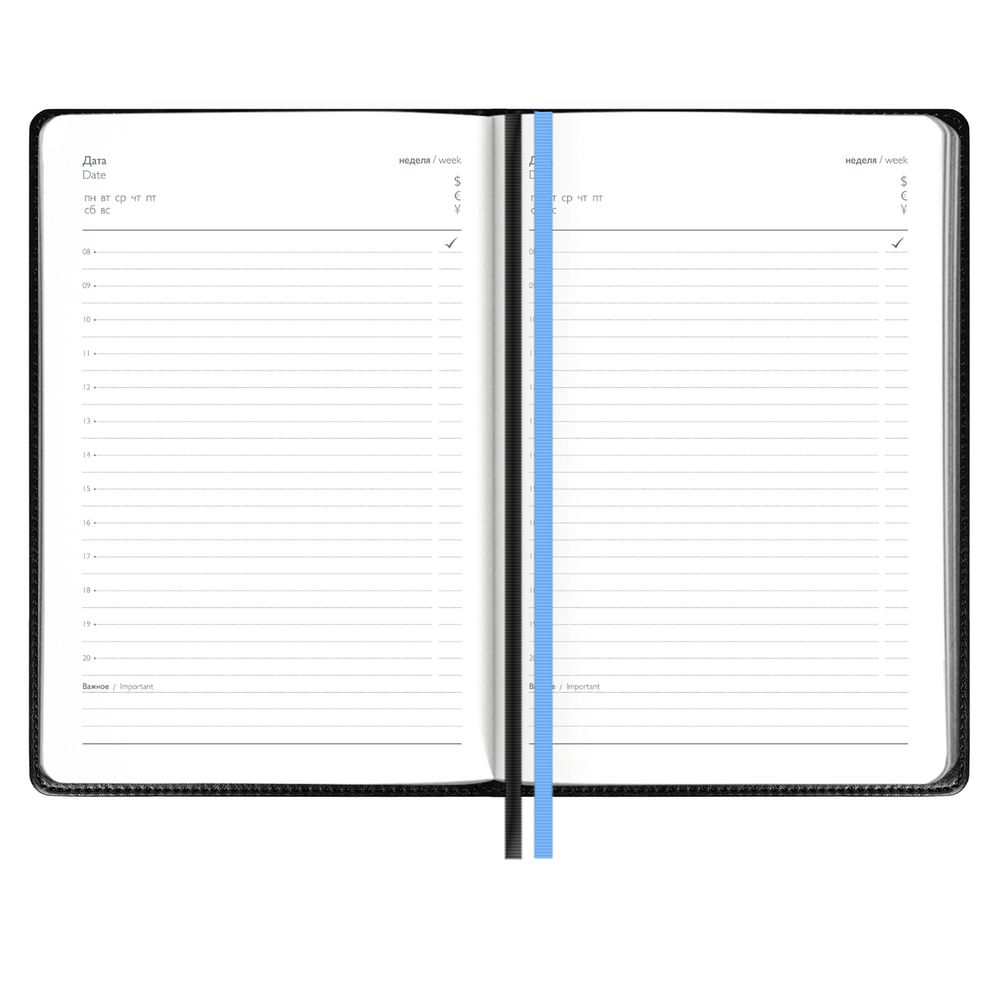 Ежедневник Alanis, недатированный, черный c голубым (Изображение 3)