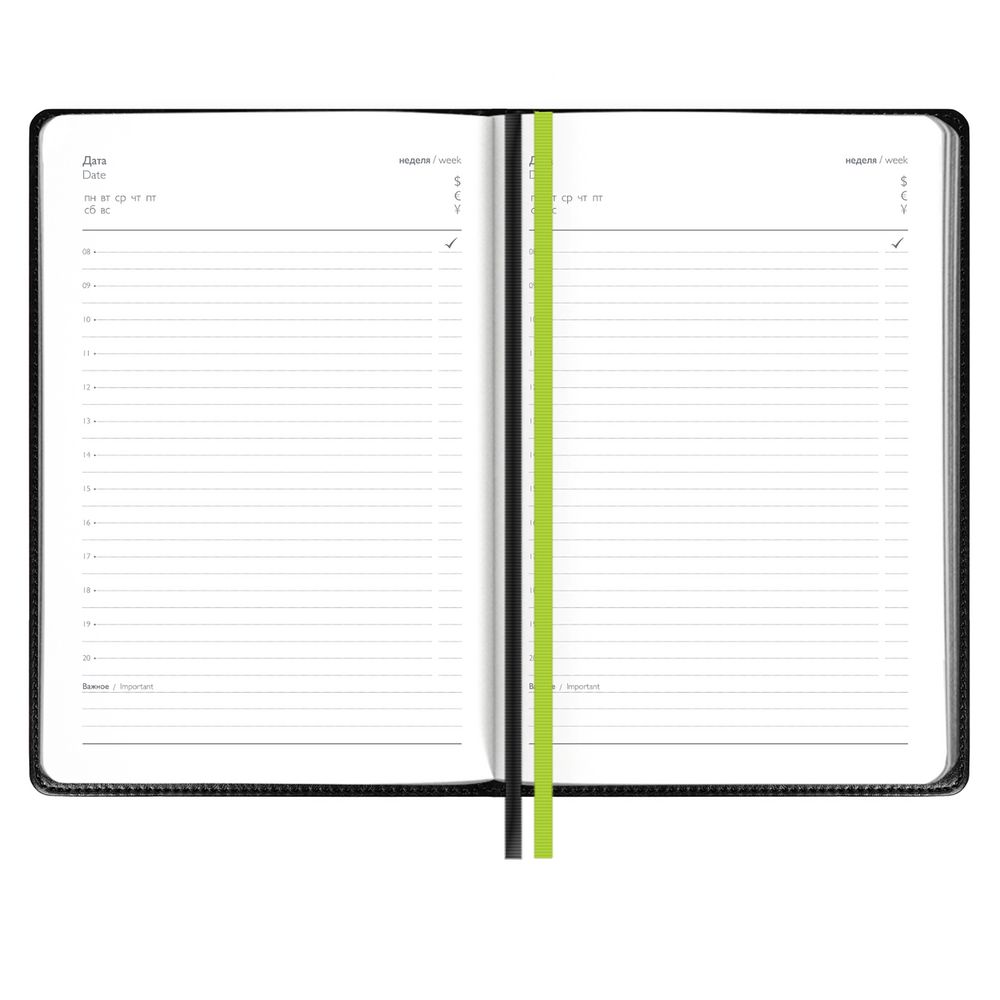 Ежедневник Alanis, недатированный, черный c зеленым (Изображение 3)