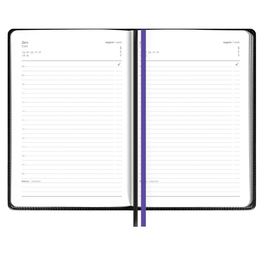 Ежедневник Alanis, недатированный, черный c фиолетовым (Изображение 3)