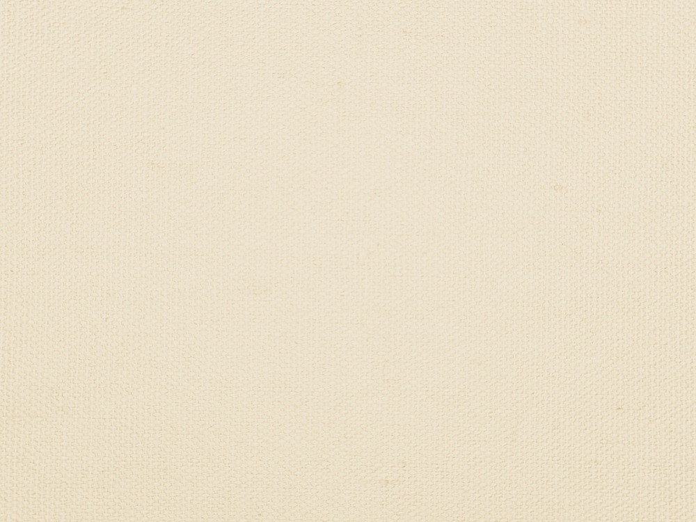 Сумка для шопинга Steady хлопковая с парусиновыми ручками, 260 г/м2 (натуральный)  (Изображение 6)