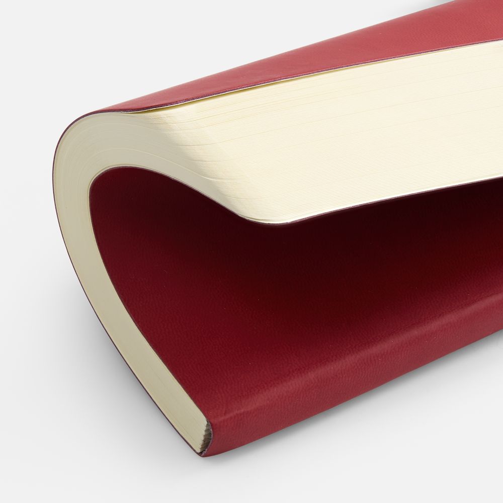 Бизнес-блокнот Megapolis Flex (Изображение 4)