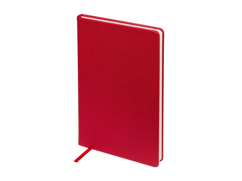 Ежедневник А5 датированный Megapolis Loft на 2026 (красный)  (Изображение 5)