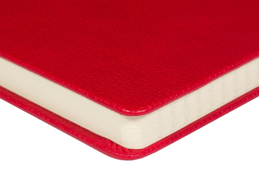 Ежедневник А5 датированный Megapolis Loft на 2026 (красный)  (Изображение 8)