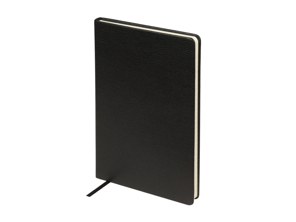 Ежедневник А5 датированный Megapolis Loft на 2026 (черный) 