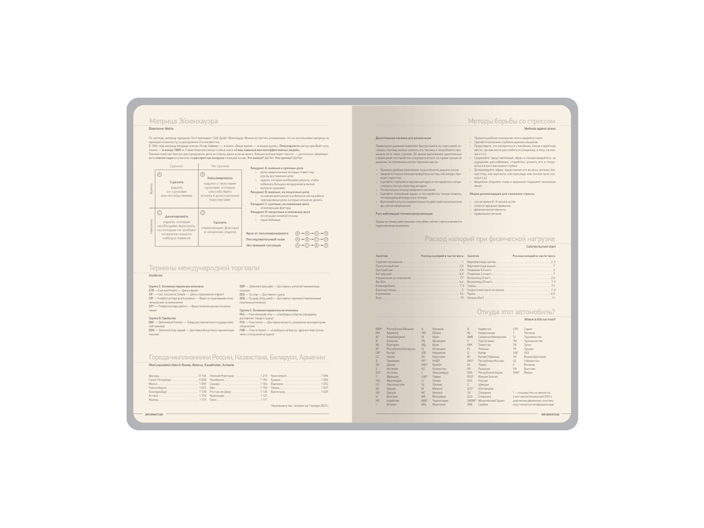 Ежедневник А5 датированный Megapolis Loft на 2026 (черный)  (Изображение 5)