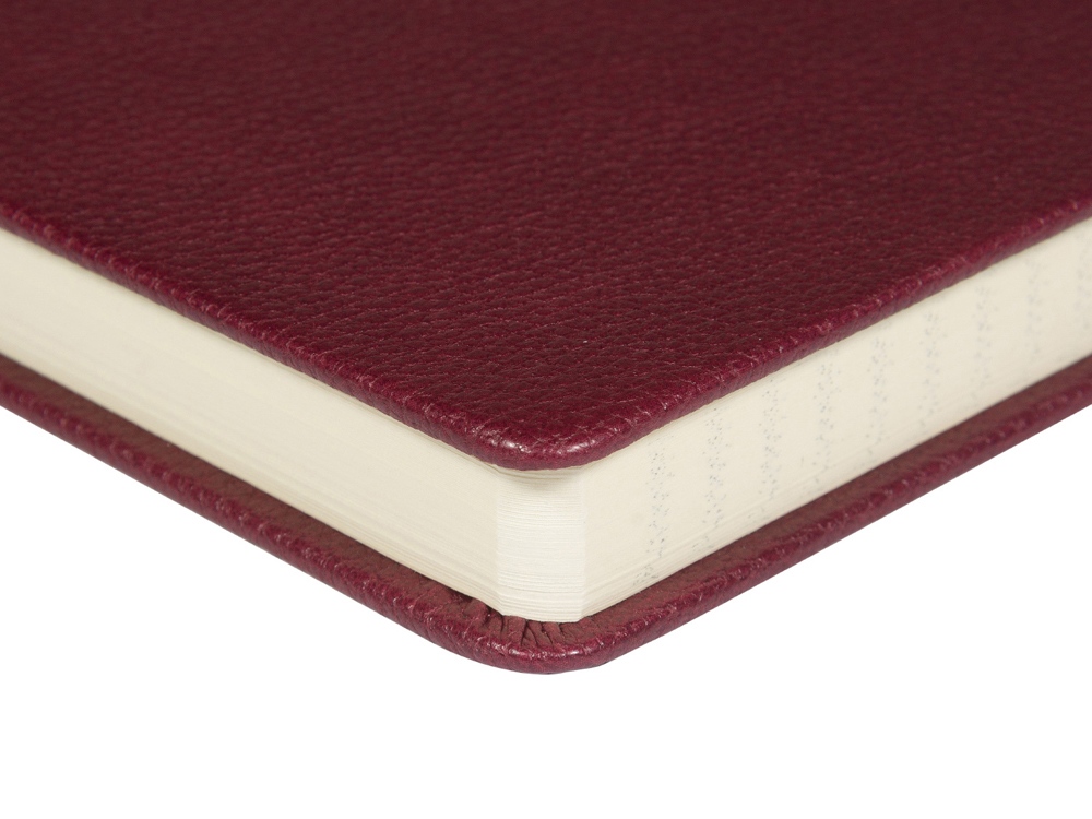 Ежедневник А5 датированный Megapolis Loft на 2026 (бордовый)  (Изображение 4)