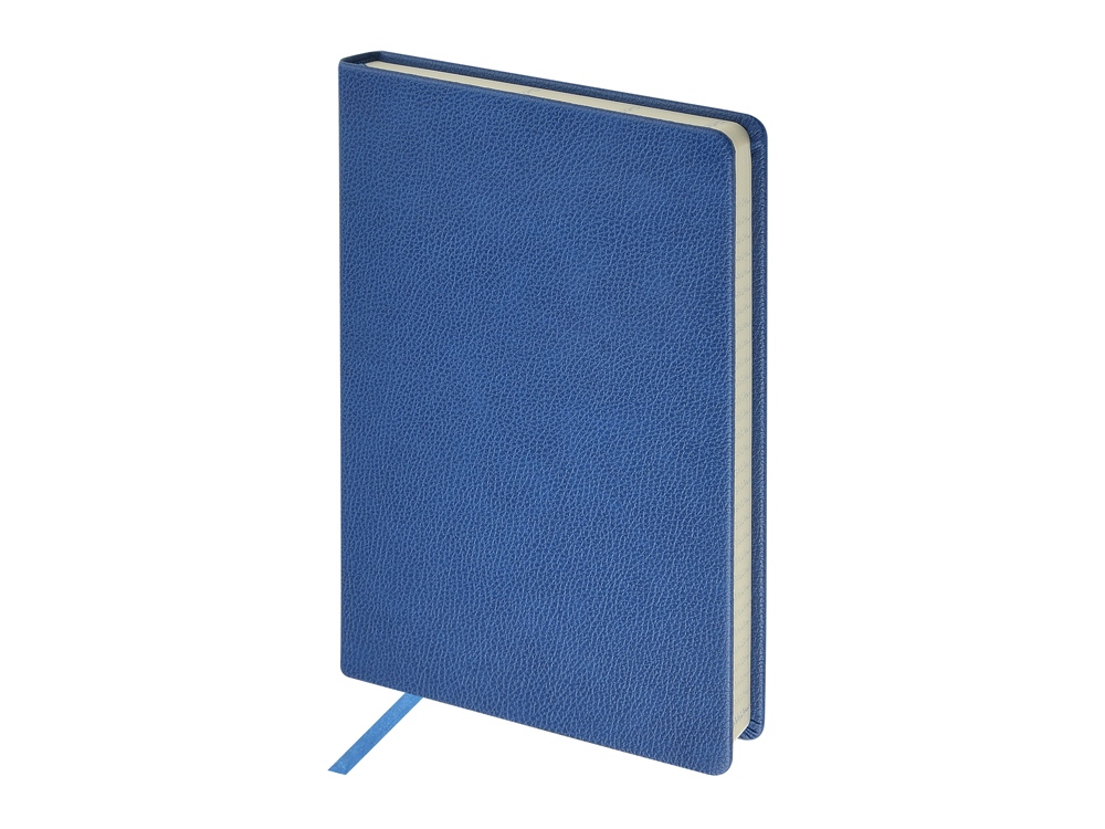 Ежедневник А5 датированный Megapolis Loft на 2026 (синий) 