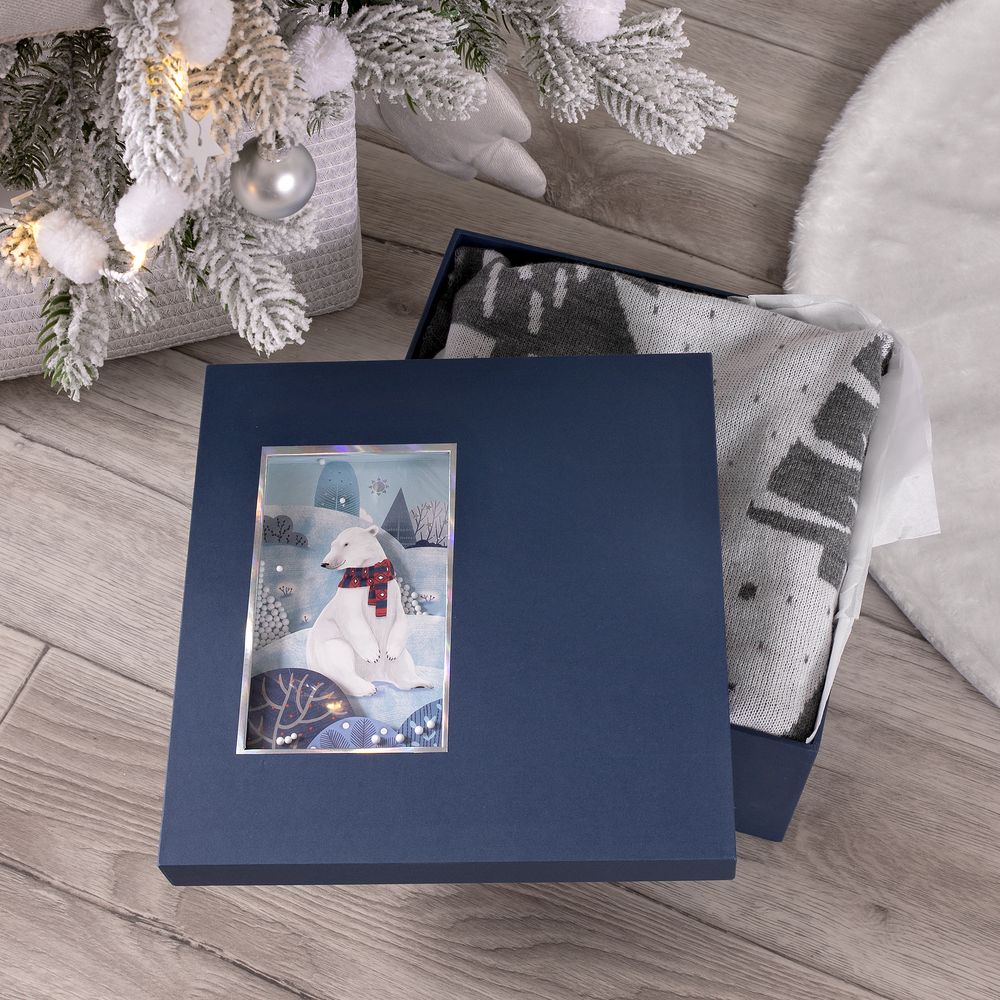 Коробка The Blue Bear, M (Изображение 2)