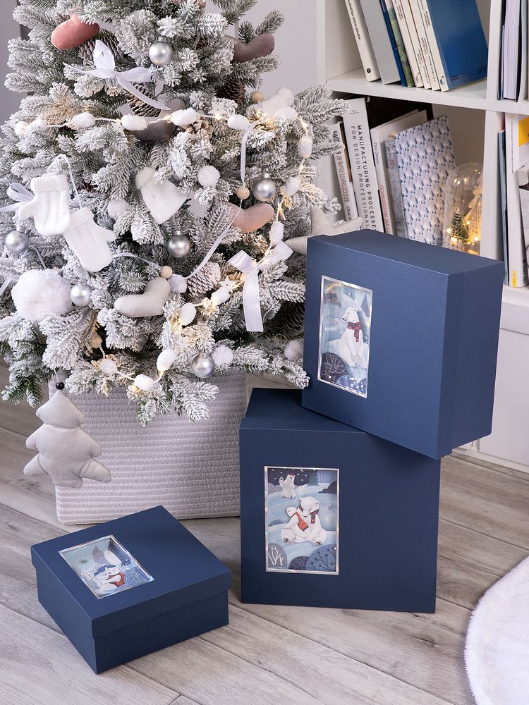 Коробка The Blue Bear, M (Изображение 3)