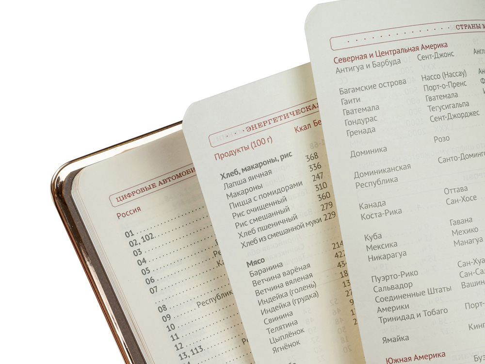 Ежедневник А5 недатированный Chelsea, красный (золотистый кант и срез) (Р) (Изображение 3)