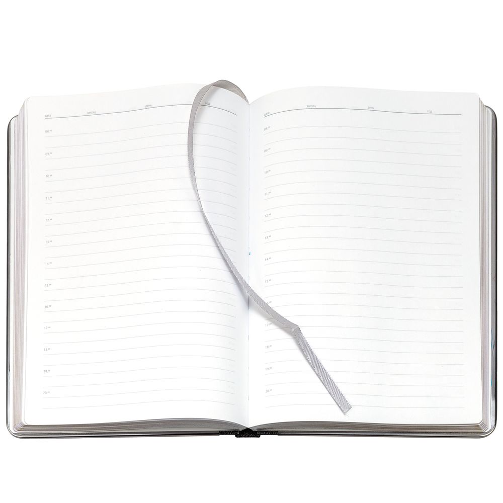 Ежедневник Frame Metal, недатированный (Изображение 7)