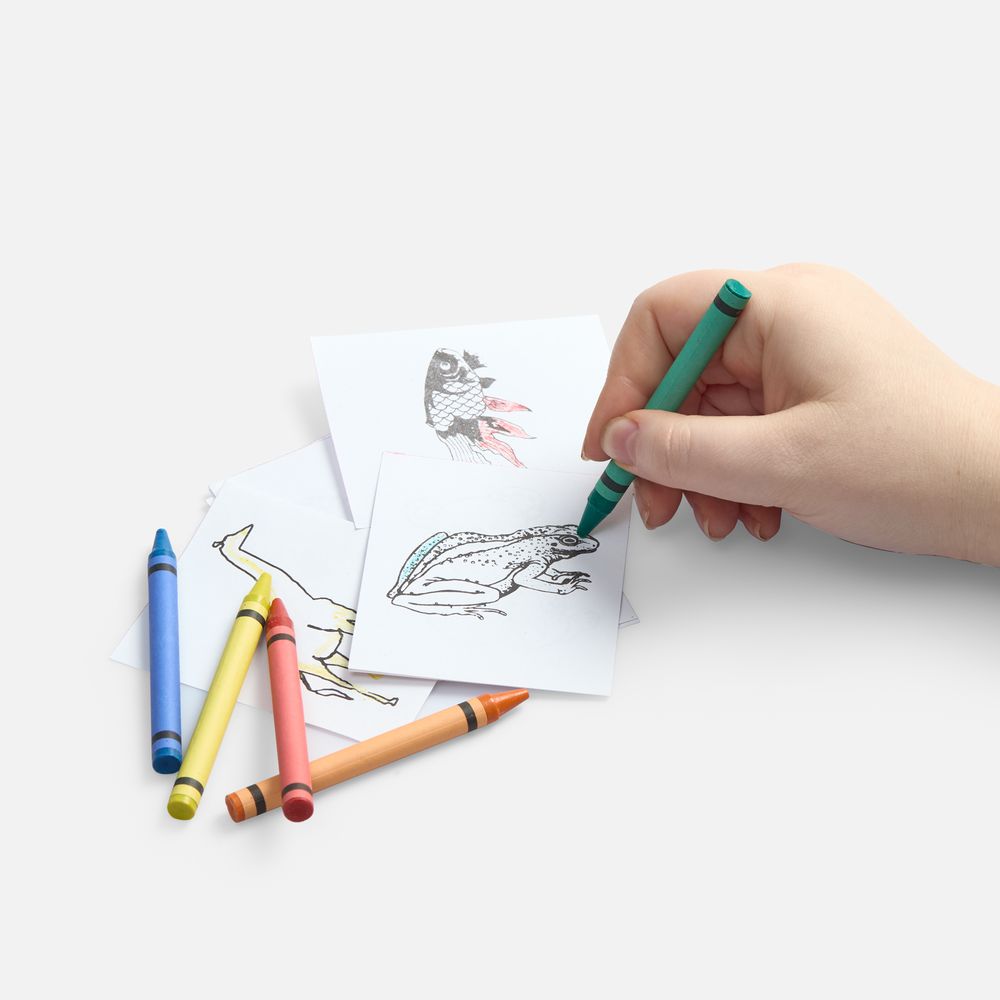 Набор для раскрашивания Create, белый (Изображение 5)