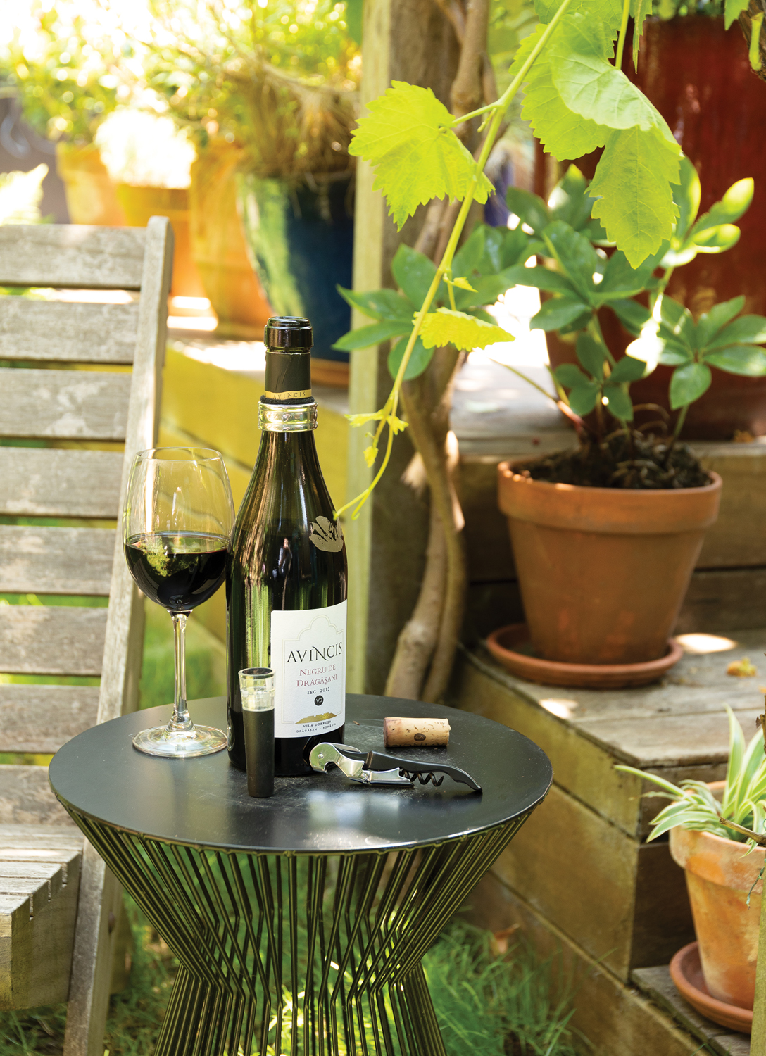 Винный набор сомелье Vino, 3 шт. (Изображение 6)