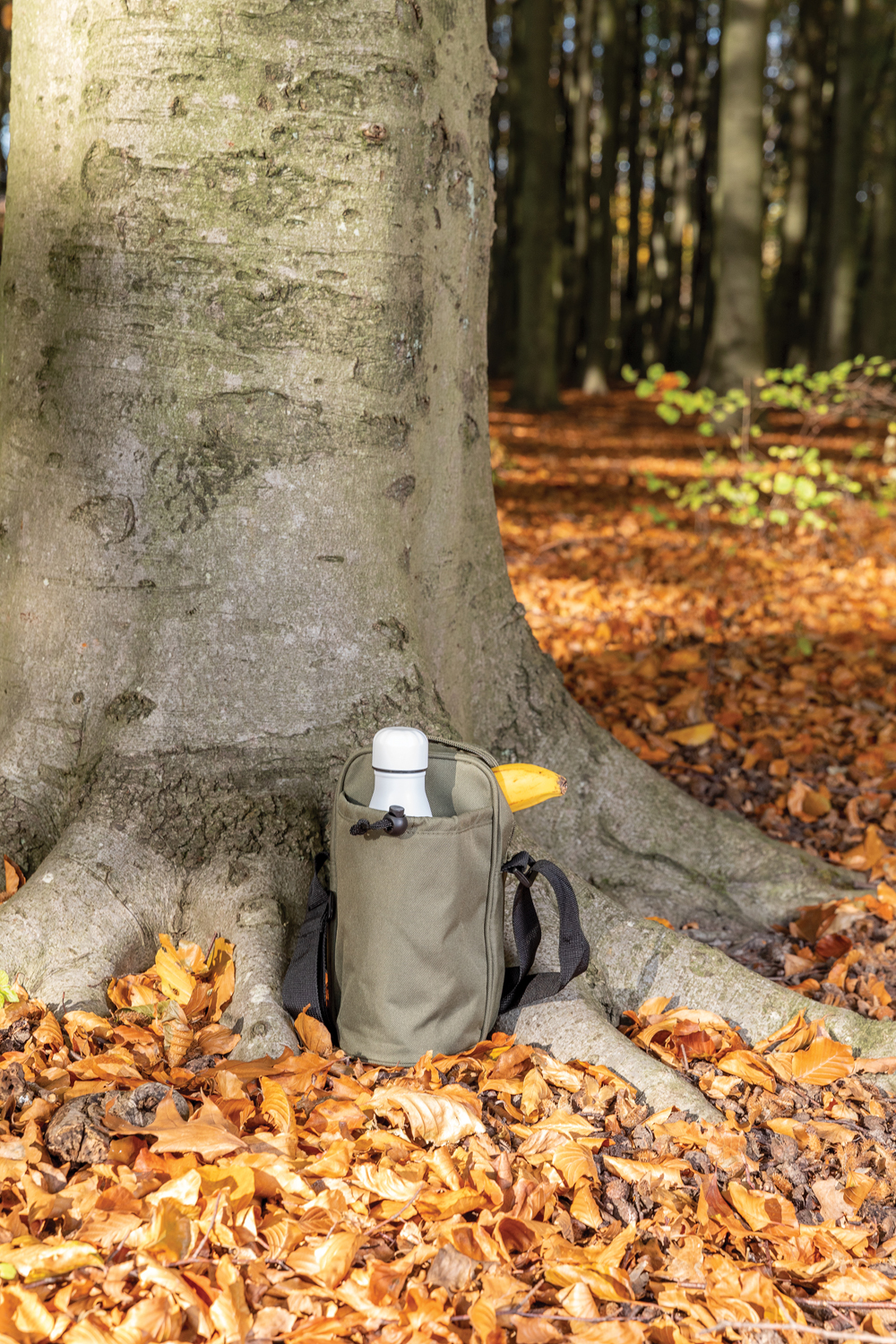 Сумка-холодильник Tierra (Изображение 11)