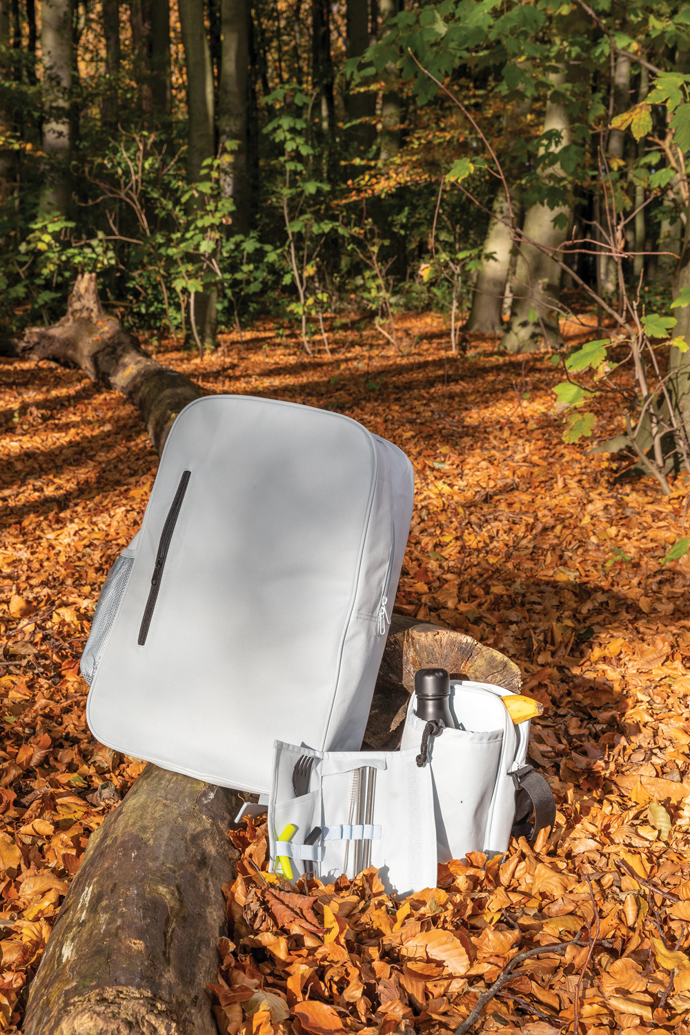 Сумка-холодильник Tierra (Изображение 12)