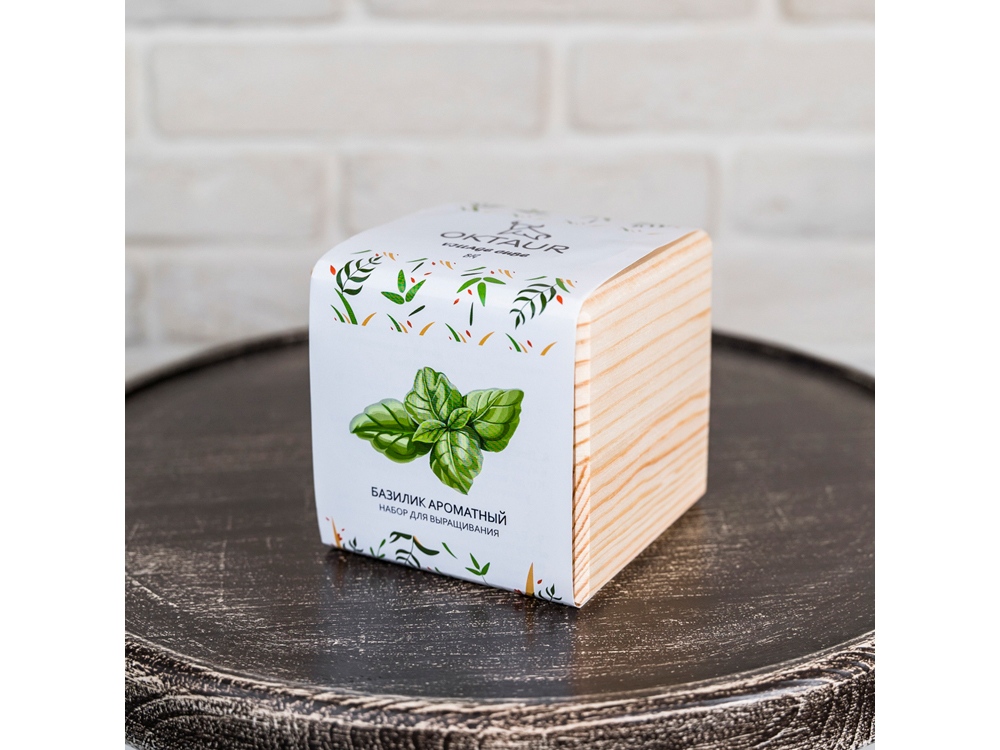 Набор для выращивания Big village cube Базилик ароматный (Изображение 5)