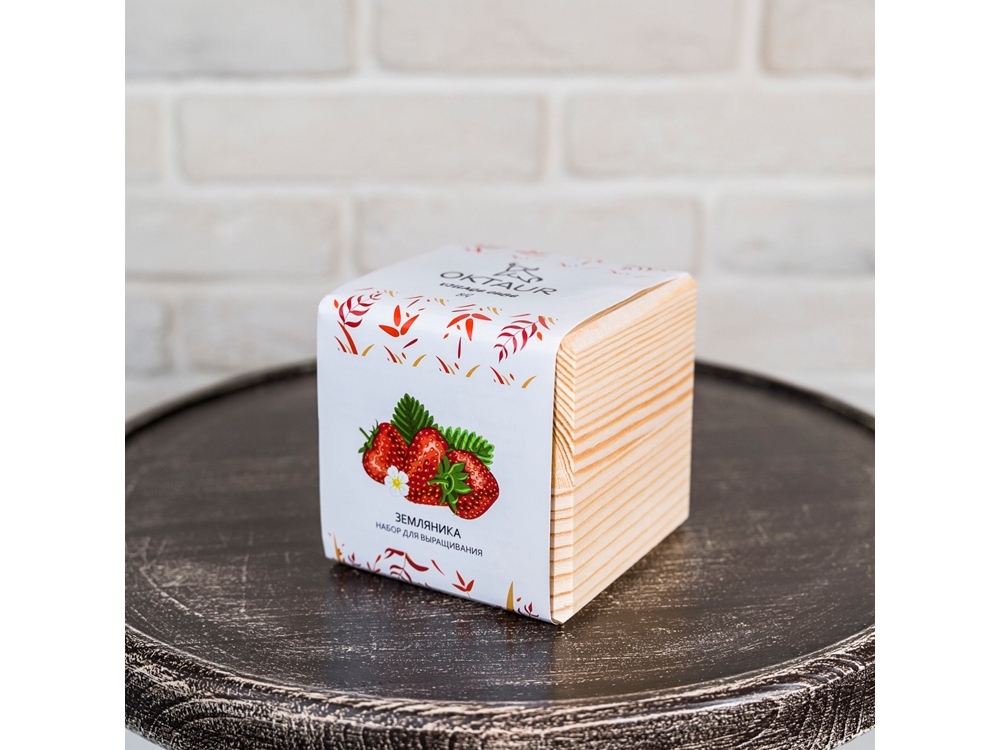 Набор для выращивания Big village cube Базилик ароматный (Изображение 6)