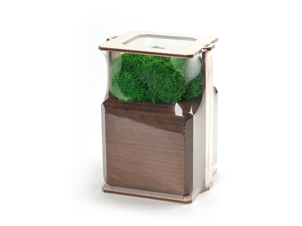 Композиция Мох в интерьере (коричневый)  (Изображение 4)