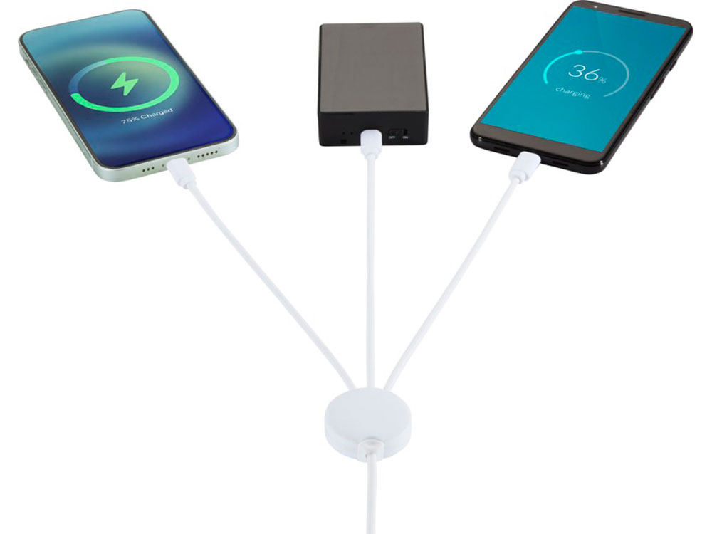 Зарядный кабель 5-в-1 с противобактериальной присадкой Pure (Изображение 4)