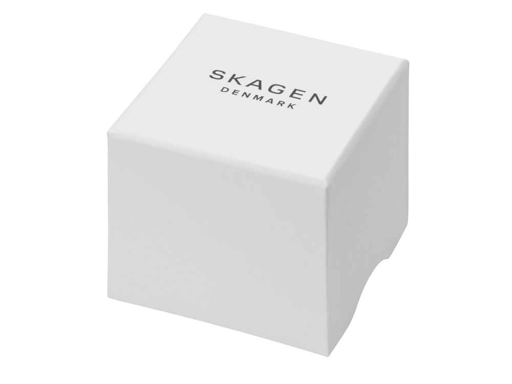 Часы наручные, мужские. Skagen (Изображение 2)