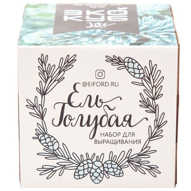 Набор для выращивания «Экокуб Lite», ель голубая (Изображение 2)
