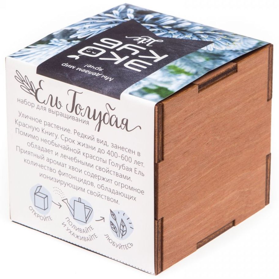 Набор для выращивания «Экокуб Lite», ель голубая (Изображение 5)
