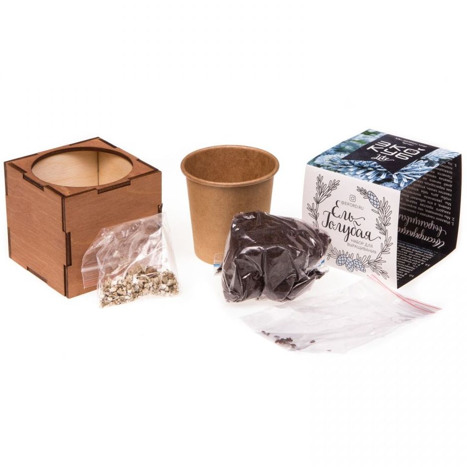 Набор для выращивания «Экокуб Lite», ель голубая (Изображение 6)