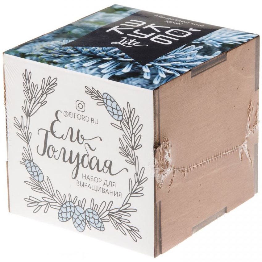 Набор для выращивания «Экокуб Lite», ель голубая (Изображение 7)