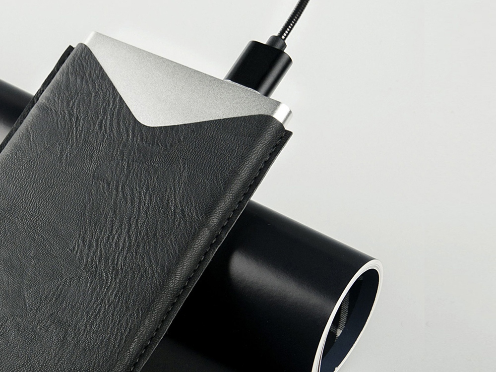 Внешний аккумулятор NEO AX100L, 10000 mAh (серебристый) 10000 mAh (Изображение 12)