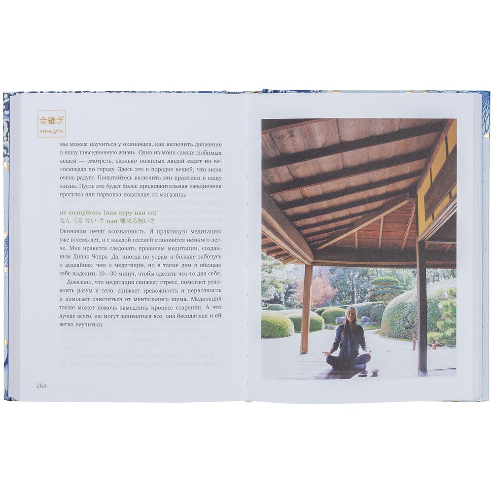 Книга «Кинцуги. Японское искусство превращать неудачи в победы» (Изображение 5)