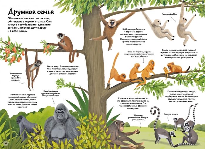 Книга «Большая книга о природе в картинках» (Изображение 2)