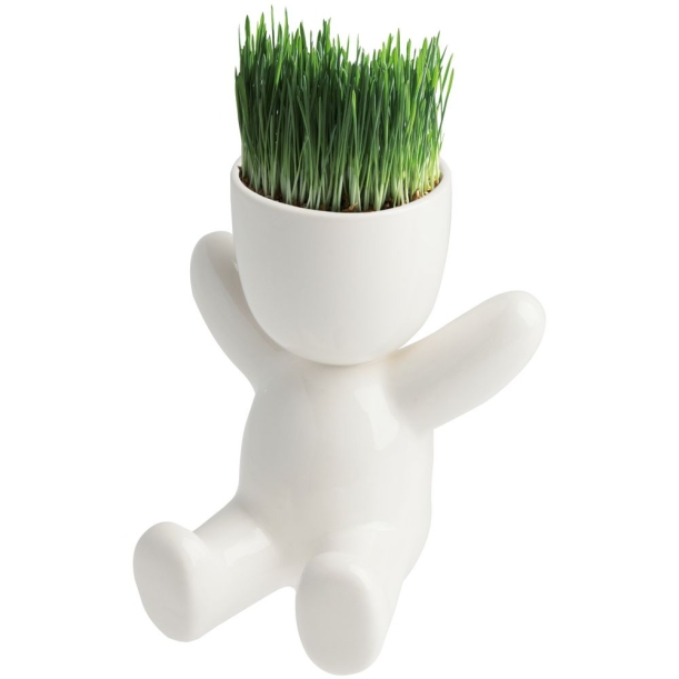 Экологичные подарки с растениями