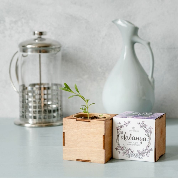 Набор для выращивания растений